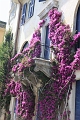 Cinque Terre 413